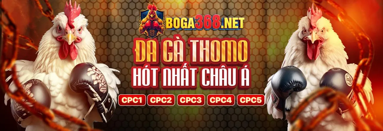 Đá Gà Trực Tuyến Hấp Dẫn tại okvip web